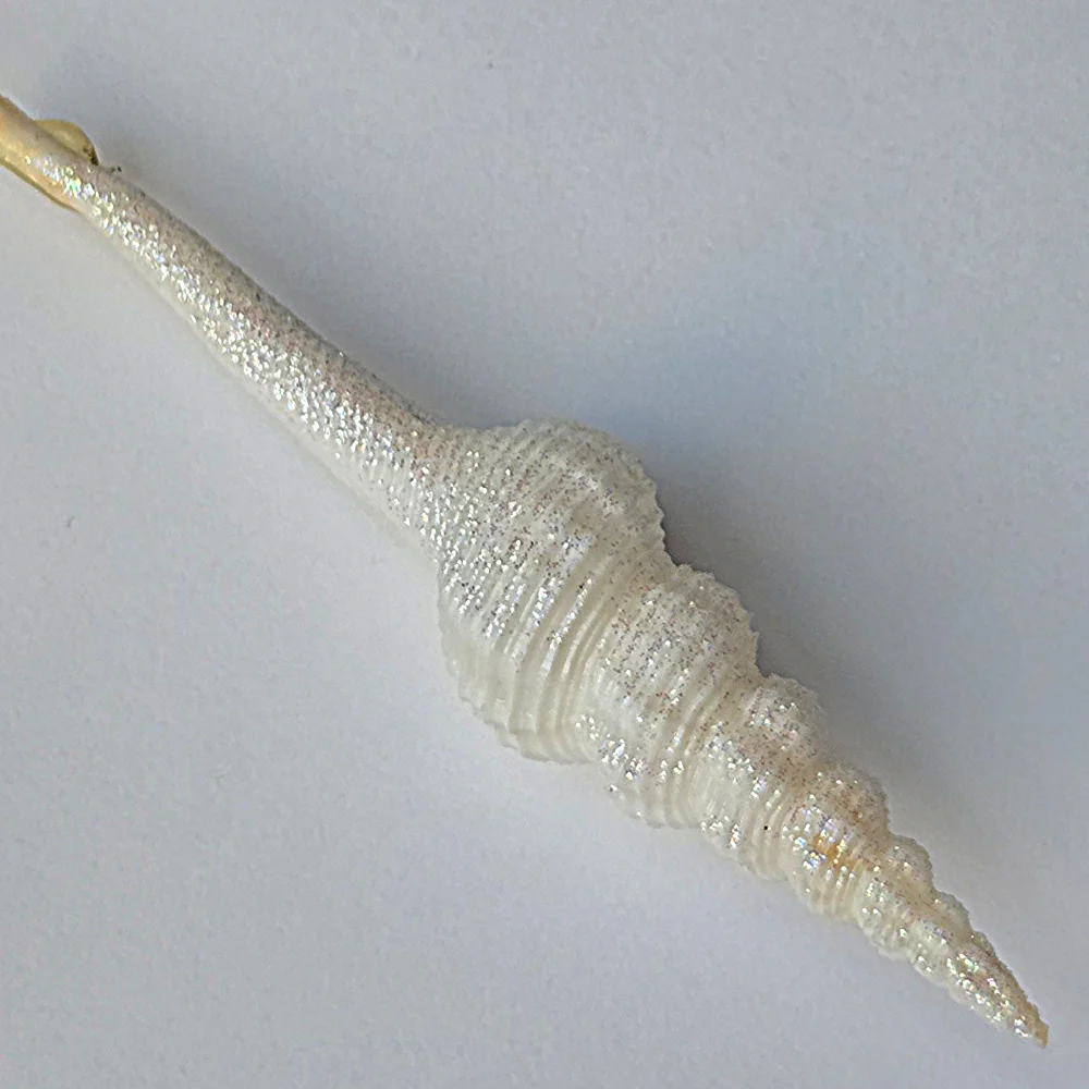 VTG 90s Shimmering Spindle Seashell Ornament White Iridescent Glitter Coastal